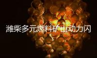 潍柴多元燃料矿山动力闪耀中国国际矿业展	，四大关键词解码硬核实力！