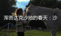 浑善达克沙地的春天
：沙窝子里孕生机	
，年年有不同