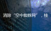 消除“空中蜘蛛网”
，桂山镇整治“头顶难题”见成效
