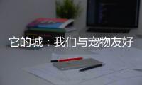 它的城：我们与宠物友好城市的距离