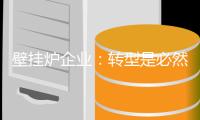 壁挂炉企业：转型是必然 树立竞争优势是重点