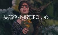 头部企业接连IPO	，心脏瓣膜行业为何这么热？