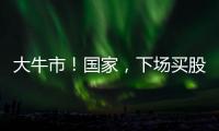 大牛市！国家
，下场买股票