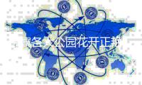 市属各大公园花开正艳，正是踏青好时节