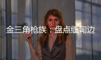 金三角枪族：盘点缅甸边境的自制武器