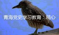 青海党史学习教育：精心谋划确保有特色 挖掘红色资源“活教材”