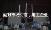 面对市场动荡�
，电工企业要适应环境变化