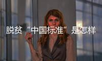 脱贫“中国标准”是怎样制定的	？ 下一步怎么走？