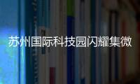 苏州国际科技园闪耀集微大会	，展现千亿级“硬核科技”实力