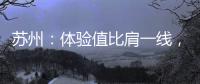 苏州：体验值比肩一线	，城市公共空间中的“苏式美学”
