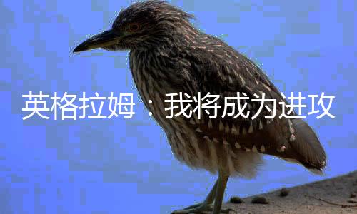 找到属于我们的英格打法