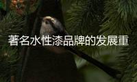 著名水性漆品牌的发展重点	：服务和产品