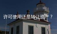 许可使用还是转让资产�？387件“娃哈哈”商标归属疑云