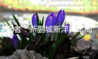 记者�：新鹏城新洋帅本周上任�，今年四连败时拉坦齐奥帅位就已松动