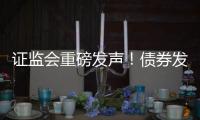 证监会重磅发声
�！债券发行迎新规 这些“常见行为”被明令禁止