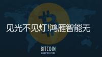 见光不见灯!鸿雁智能无主灯
，比你想象的更好