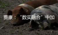 贾康	：“数实融合”中加速现代化产业体系构建升级