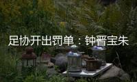 足协开出罚单：钟晋宝朱挺分别停赛5场3场
