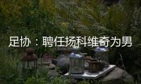 足协
：聘任扬科维奇为男足国家队主教练