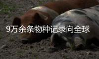 9万余条物种记录向全球开放	
，中国首个热带生物多样性数字平台发布