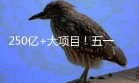 250亿+大项目
！五一邀你继续参与