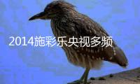 2014施彩乐央视多频道包围追击，抢占黄金时段眼球