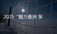 2025“魅力香洲 筝的爱你”风筝会在海天公园沙滩举办，大湾区7支风筝队展风采